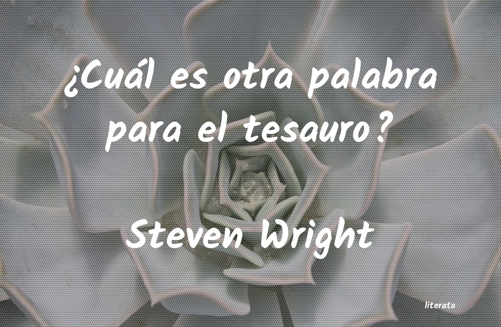 Frases de Steven Wright