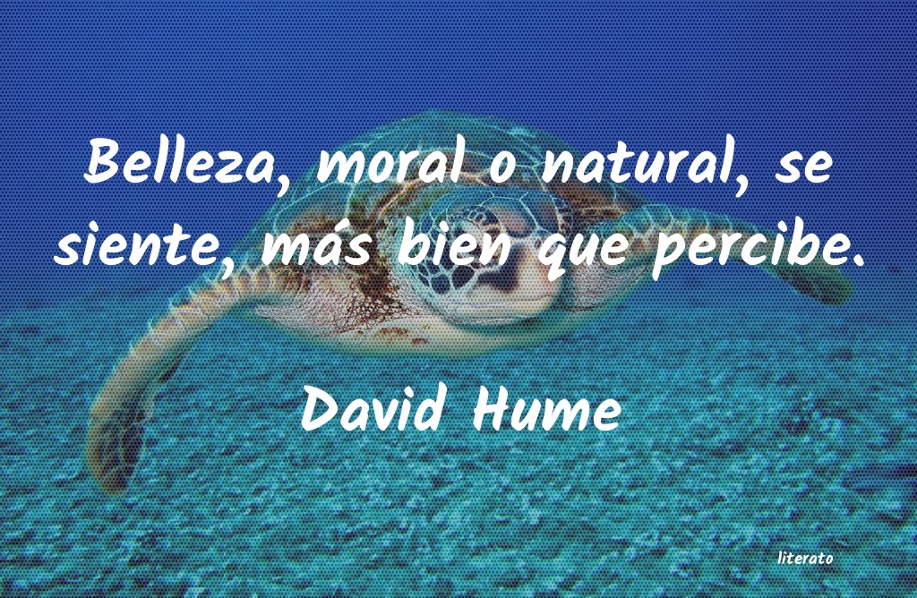 Frases de David Hume