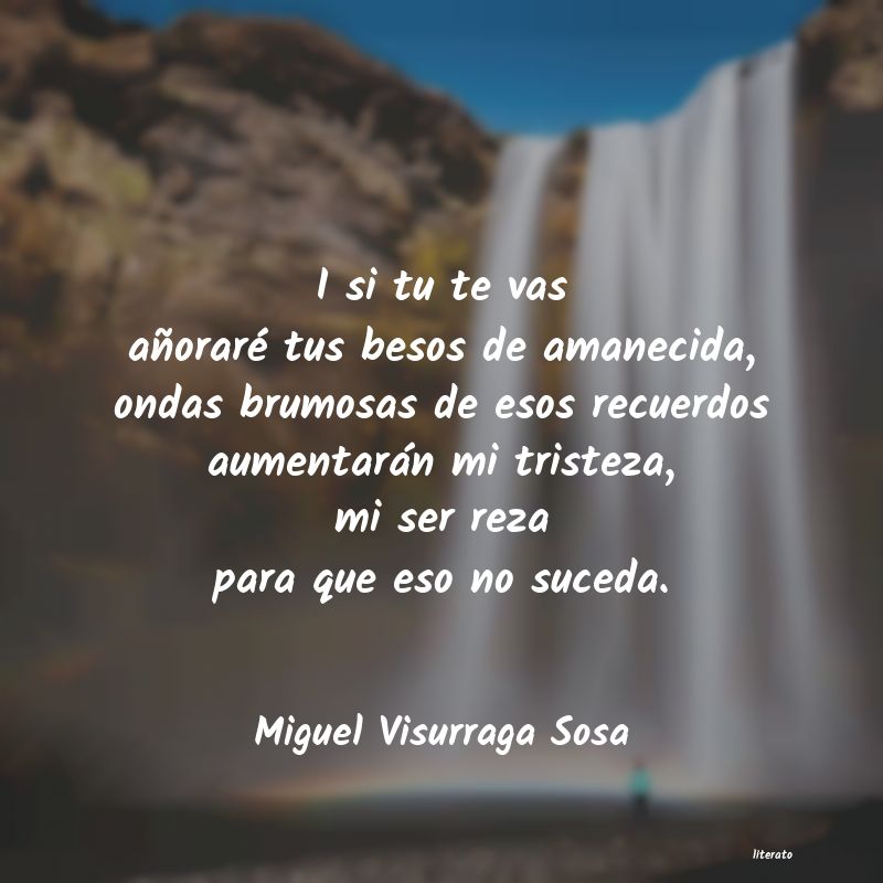 frases de Miguel Visurraga Sosa