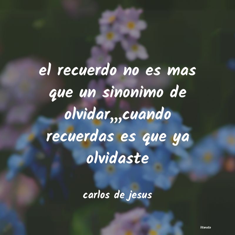 frases de carlos de jesus