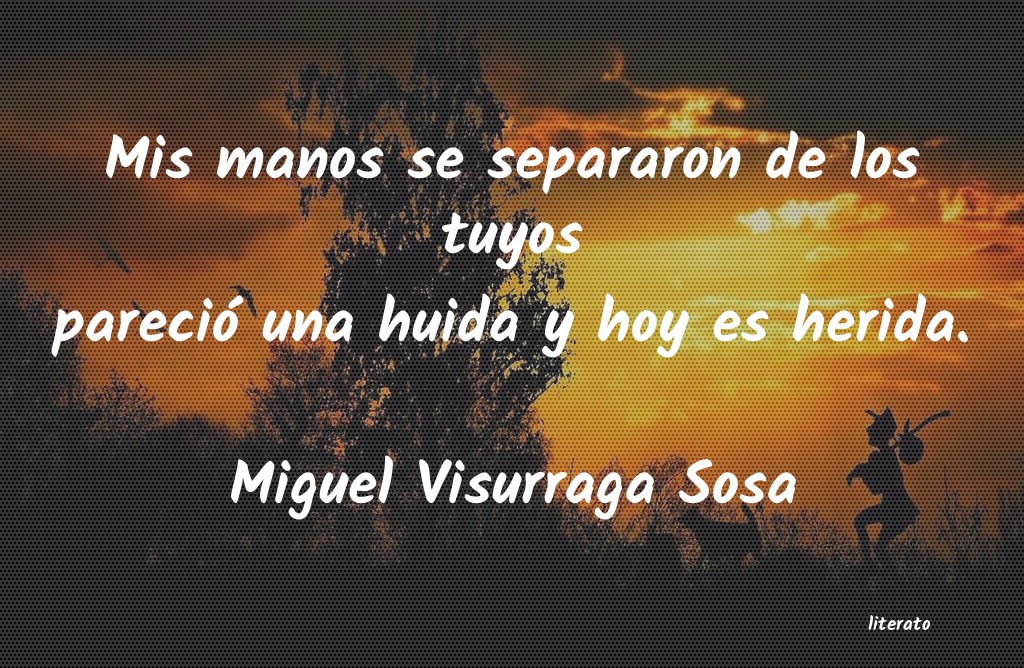 frases de Miguel Visurraga Sosa