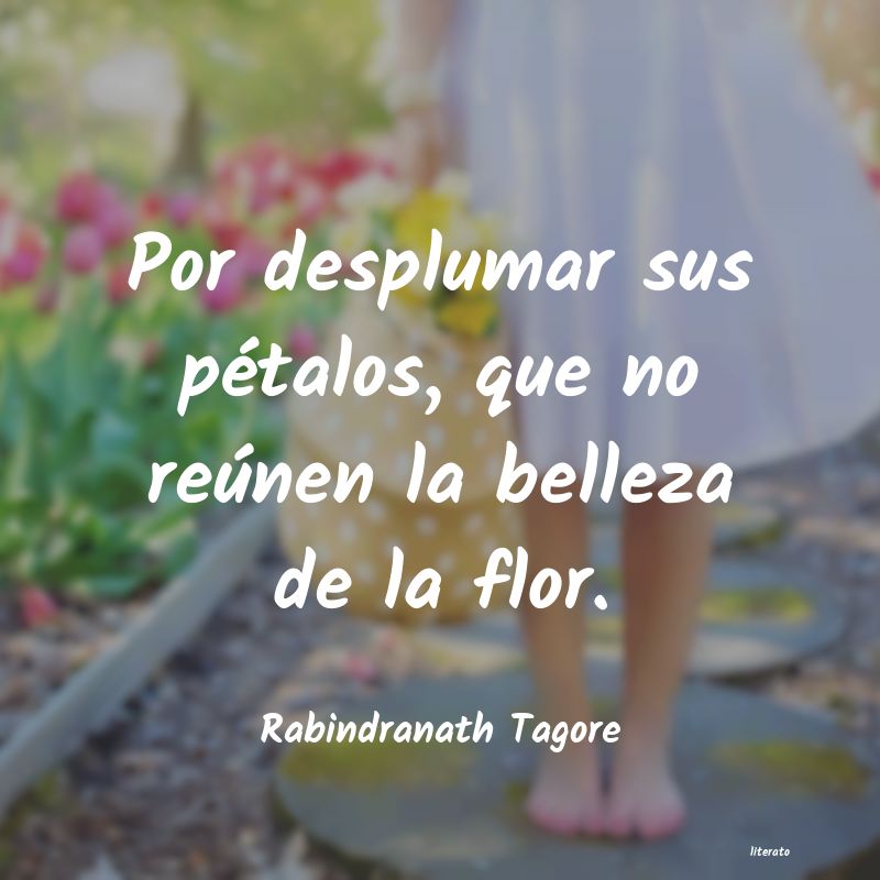 Frases de Rabindranath Tagore