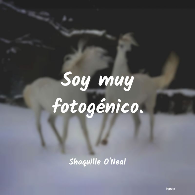 frases de Shaquille O'Neal