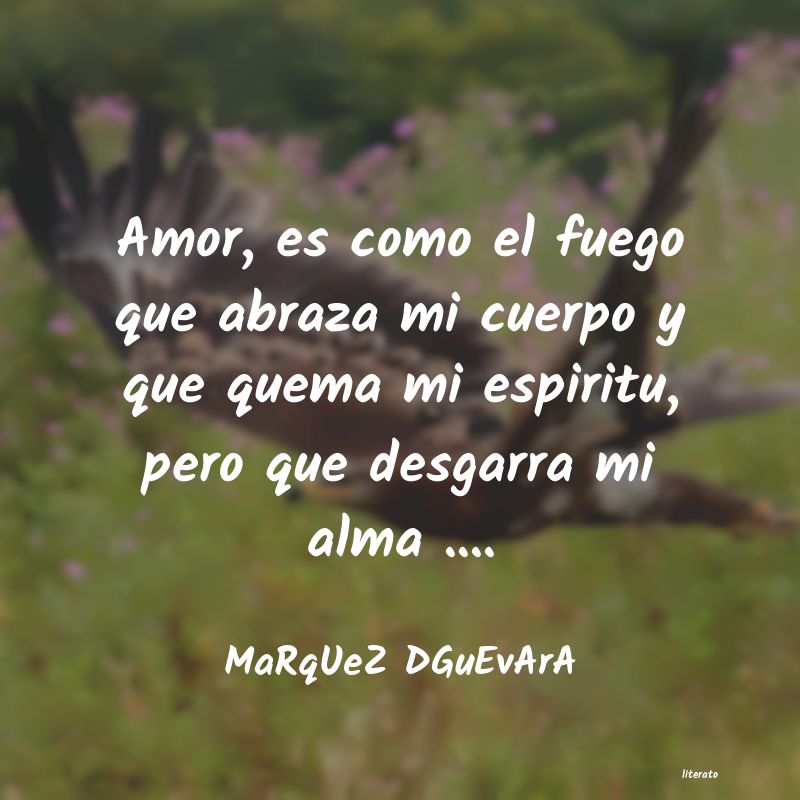 frases de MaRqUeZ DGuEvArA