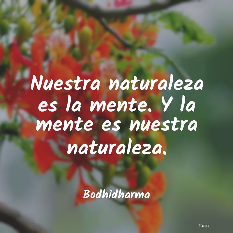 frases de Bodhidharma