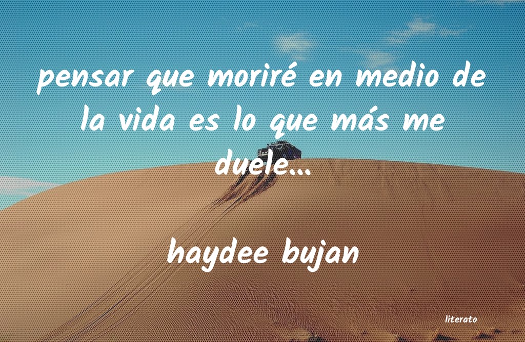 Frases de haydee bujan