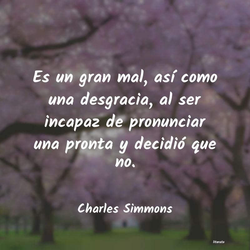 frases de Charles Simmons