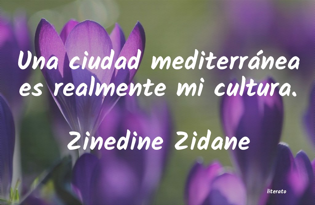 frases de Zinedine Zidane