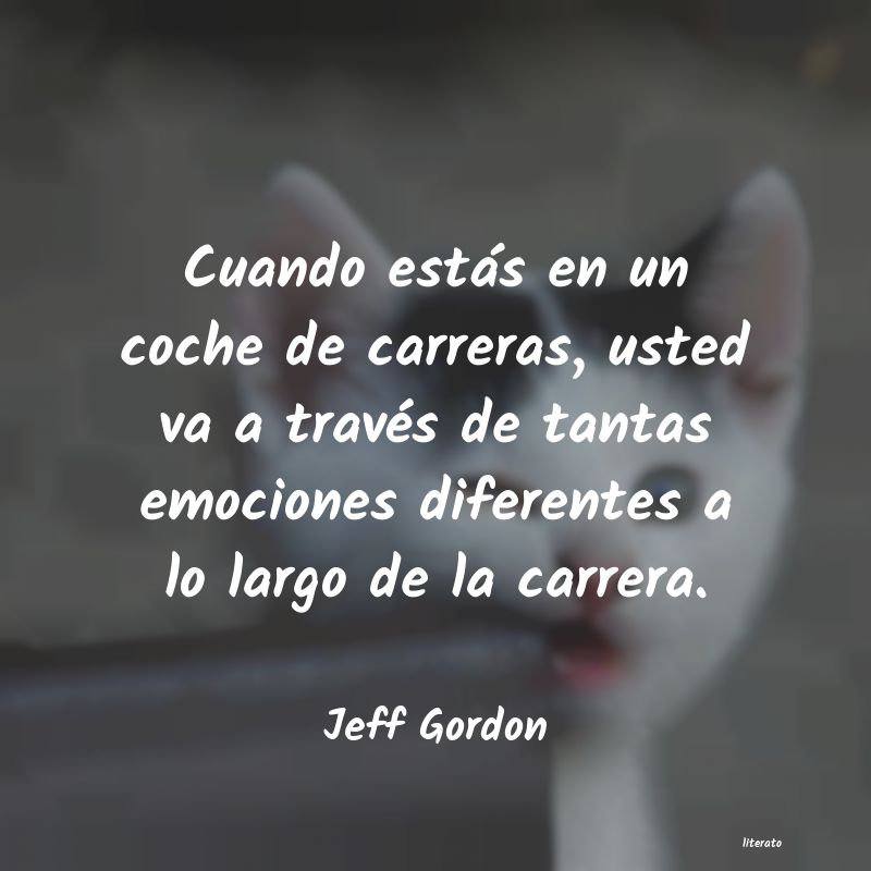 Frases de Jeff Gordon