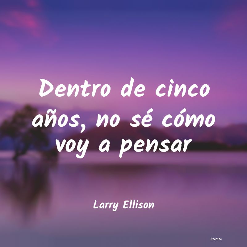 Frases de Larry Ellison