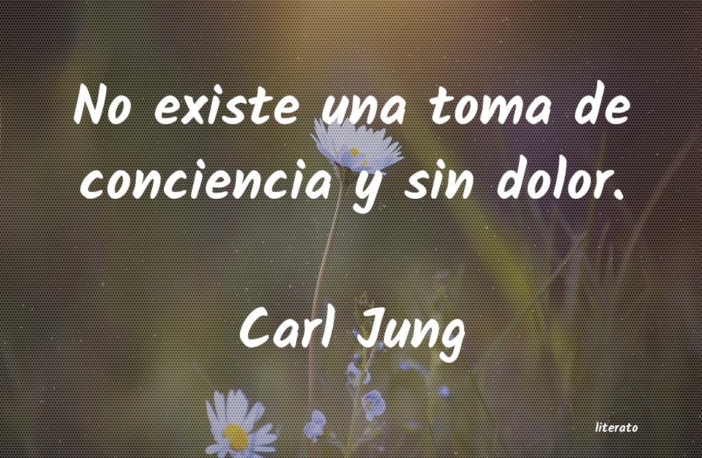 carl jung sentido