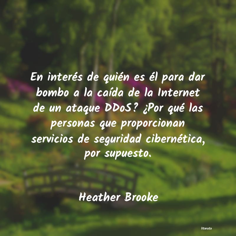 Frases de Heather Brooke