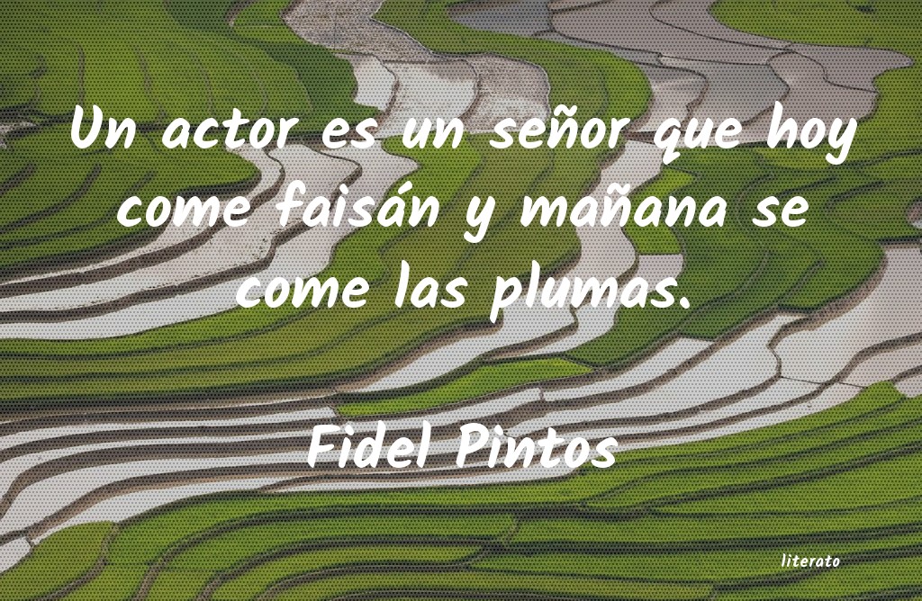 frases de Fidel Pintos