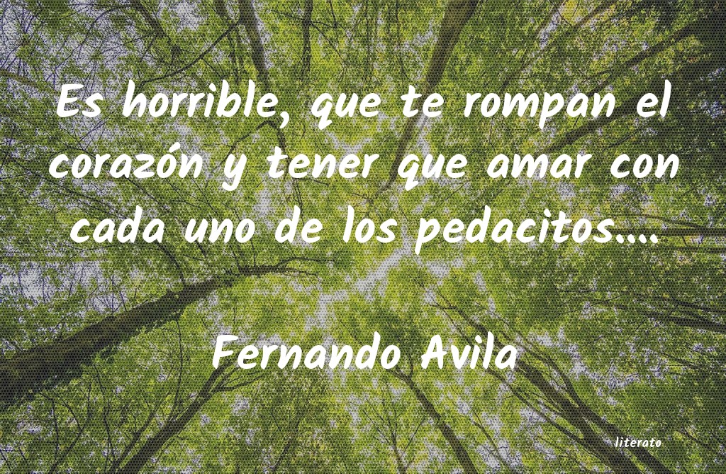 frases de Fernando Avila