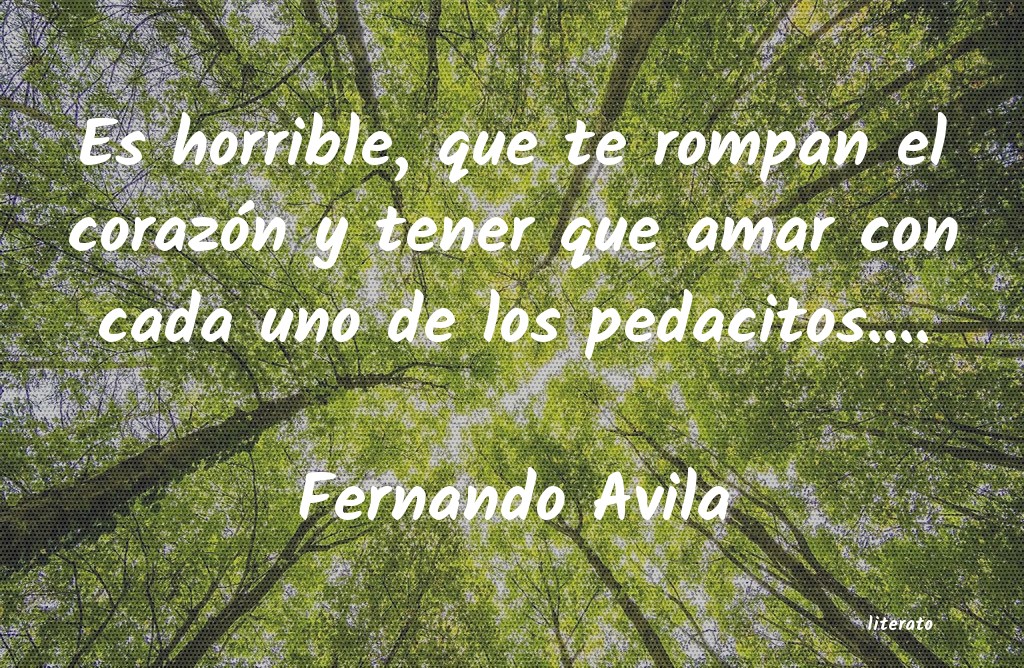 Frases de Fernando Avila