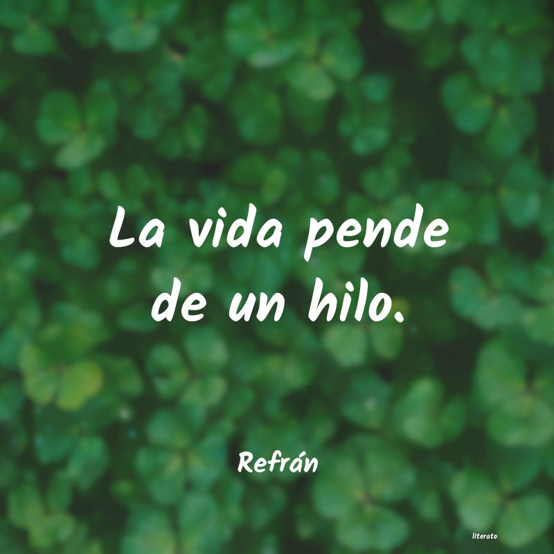 Frases de Refrán