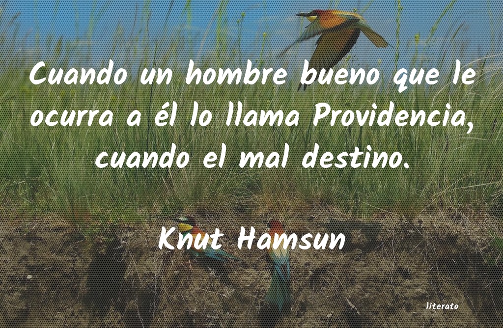 Frases de Knut Hamsun