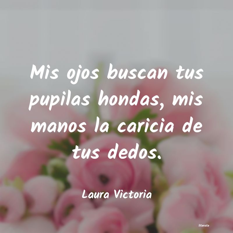 frases de Laura Victoria