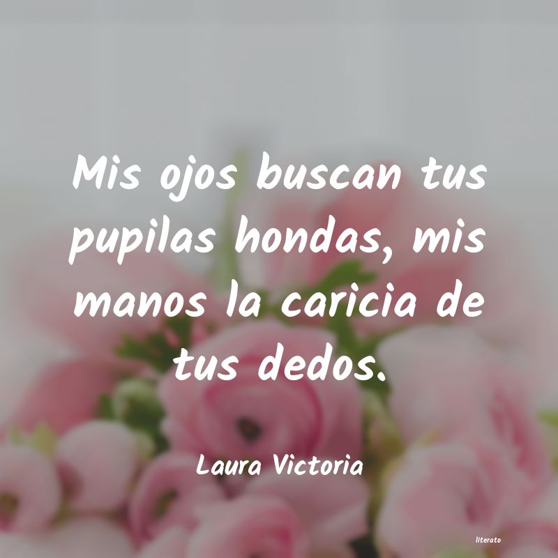 Frases de Laura Victoria