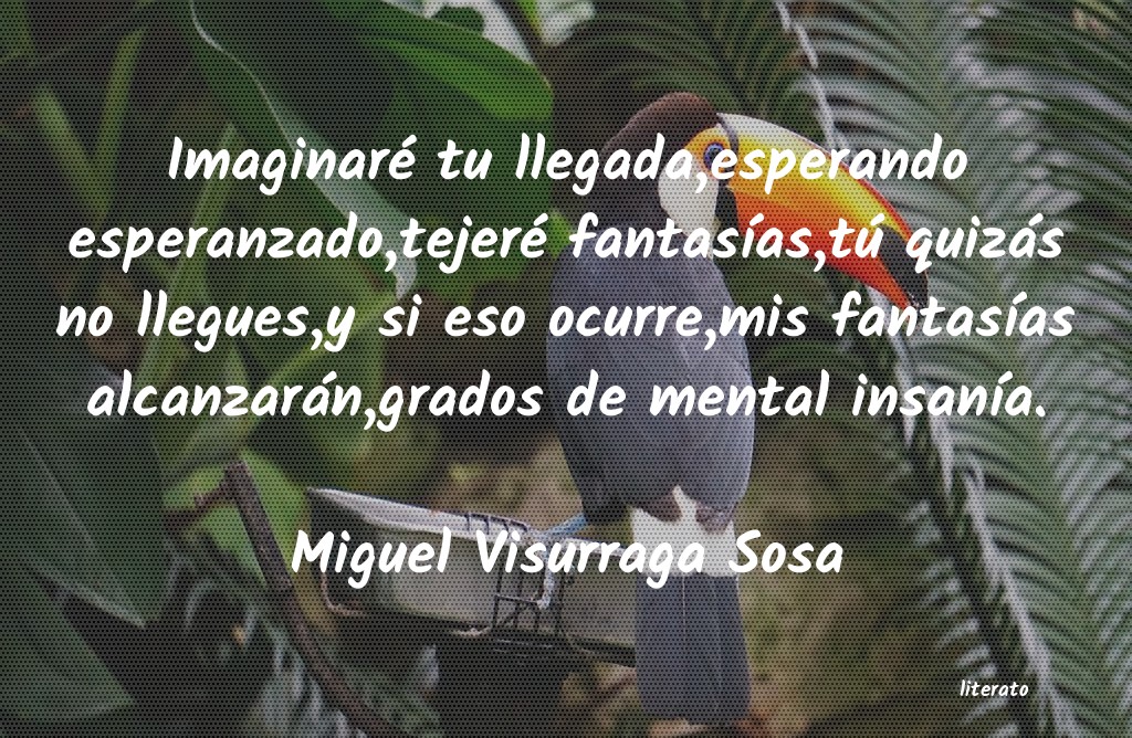frases de Miguel Visurraga Sosa