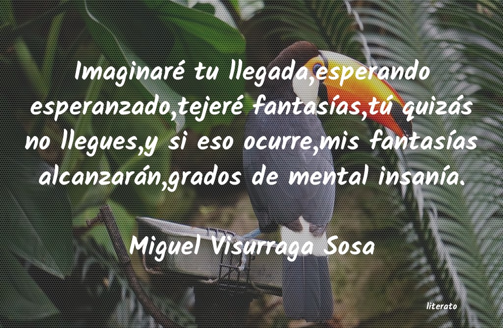 Frases de Miguel Visurraga Sosa