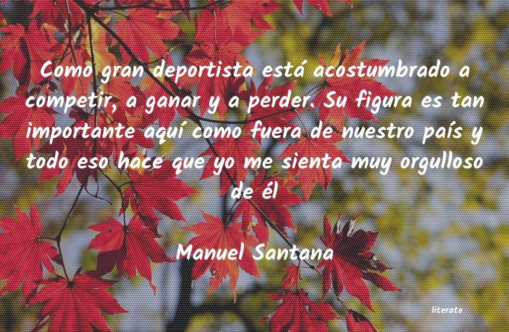 Frases de Manuel Santana