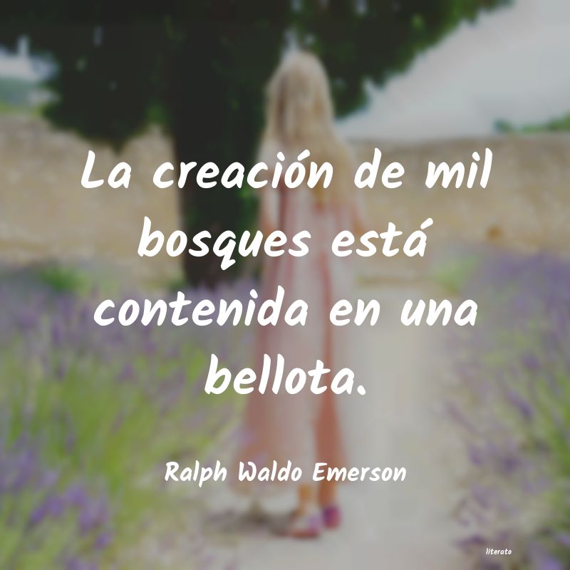 Frases de Ralph Waldo Emerson