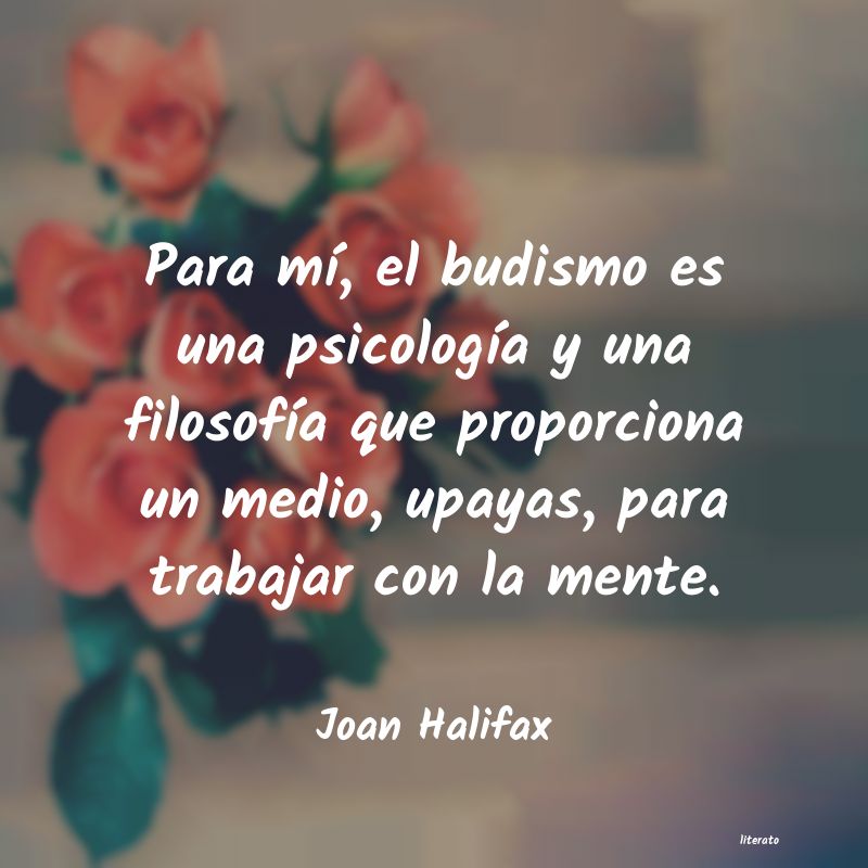 frases de Joan Halifax