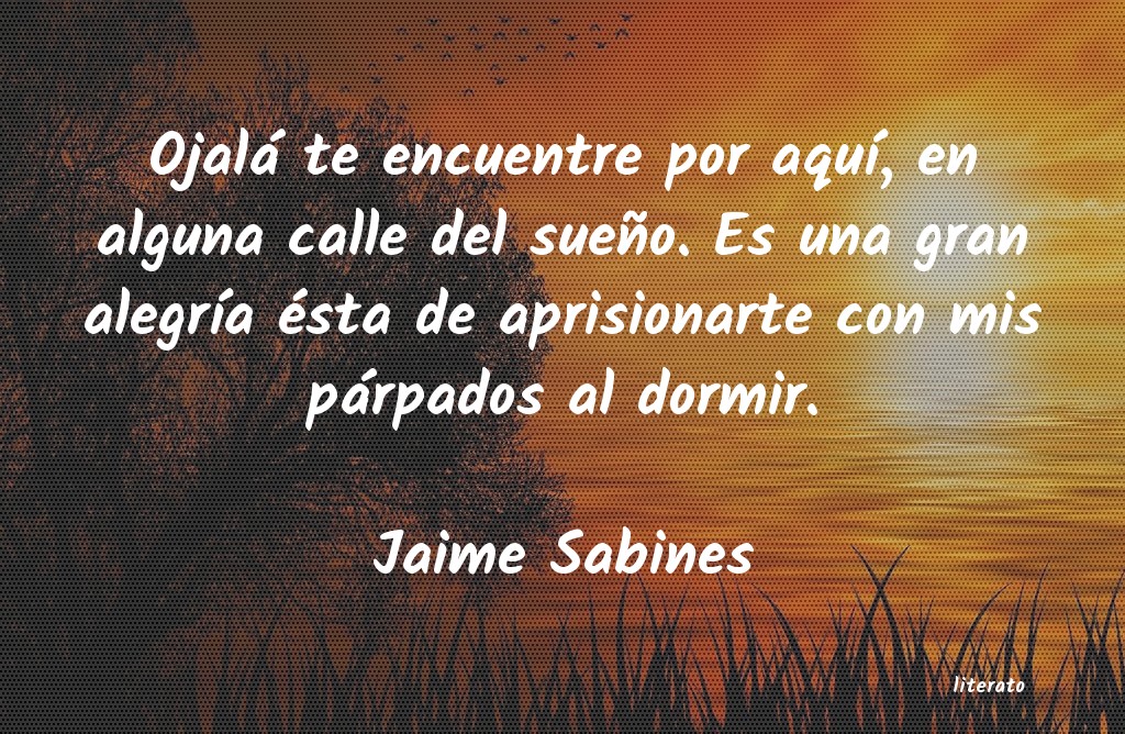 Frases de Jaime Sabines