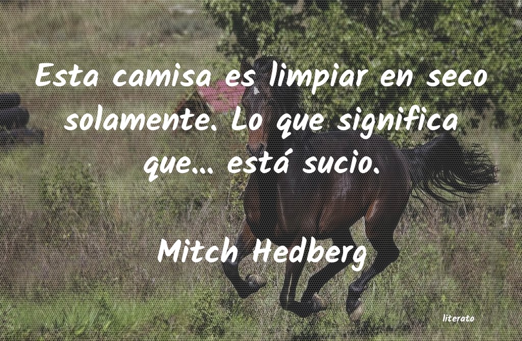 Frases de Mitch Hedberg