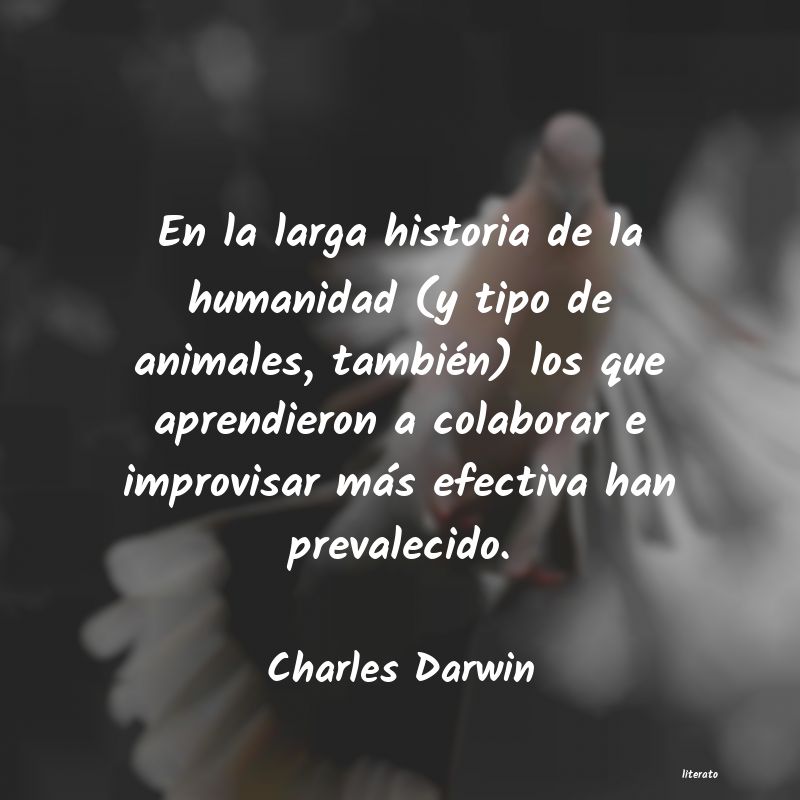 Frases de Charles Darwin