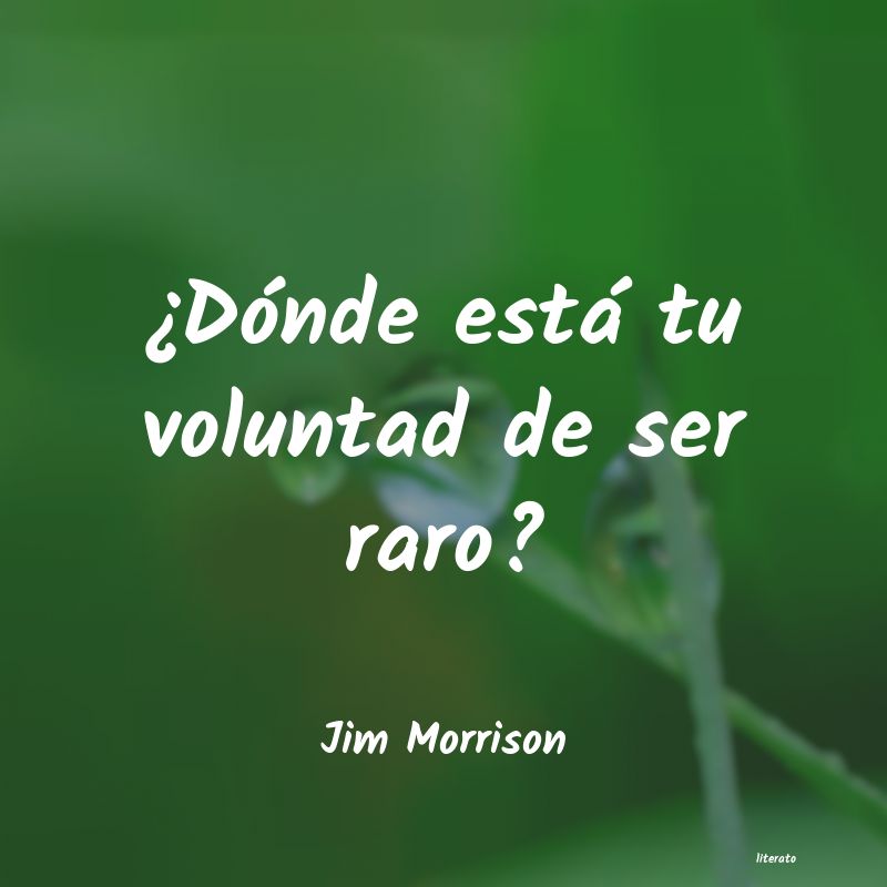 Frases de Jim Morrison