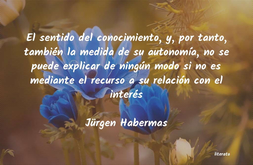 Frases de Jürgen Habermas