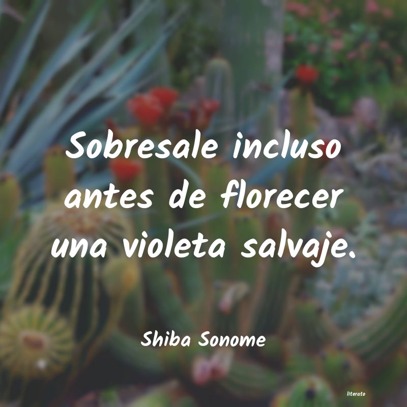 frases de Shiba Sonome