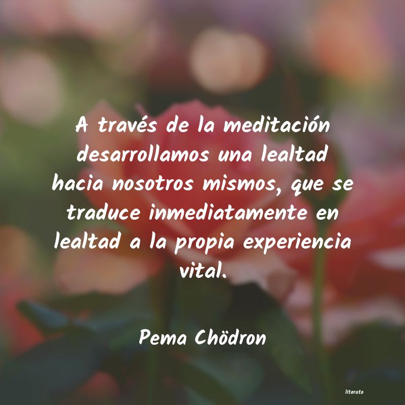 Frases de Pema Chödron