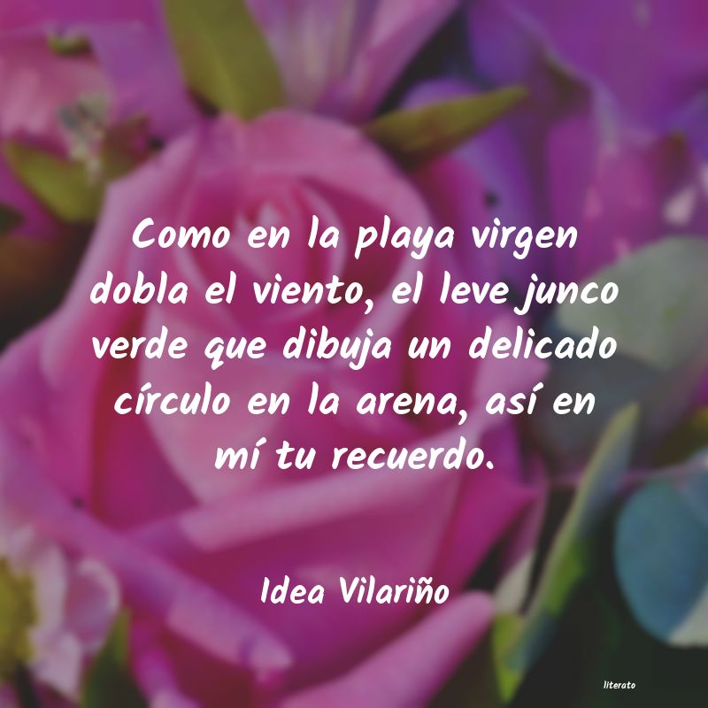 frases de Idea Vilariño