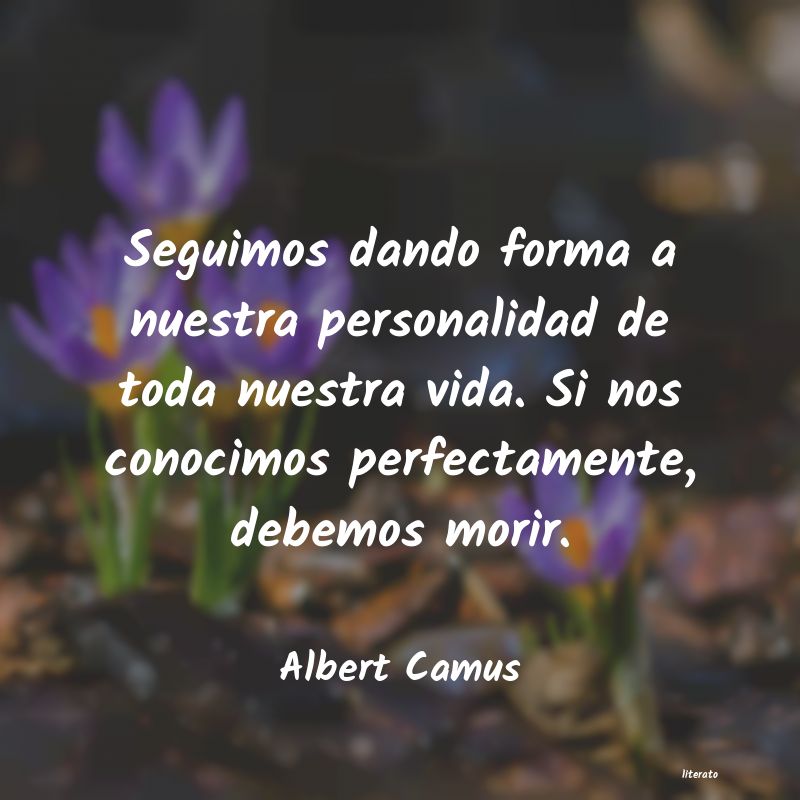 frases de Albert Camus