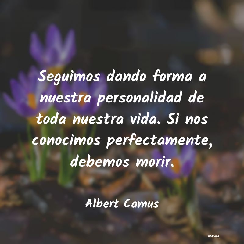 Frases de Albert Camus