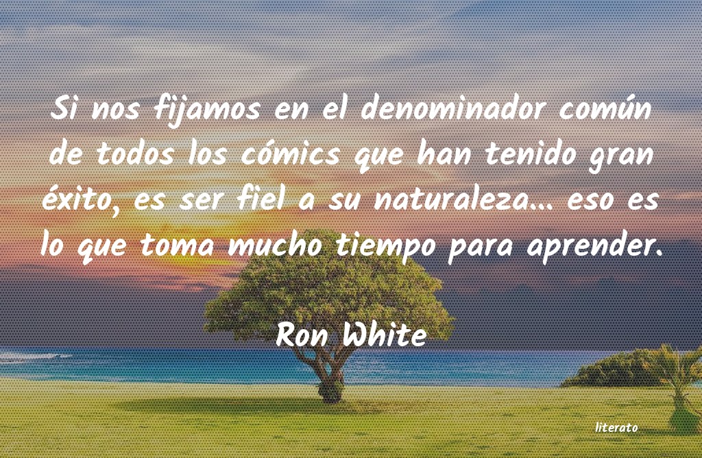 Frases de Ron White