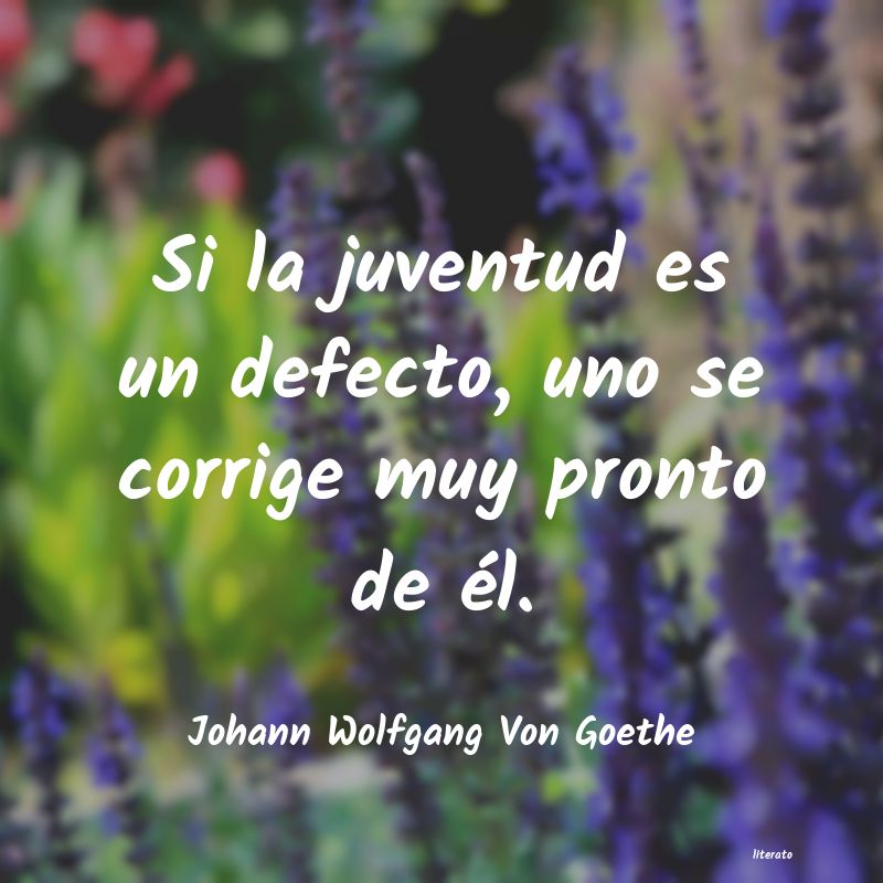 Frases de Johann Wolfgang Von Goethe