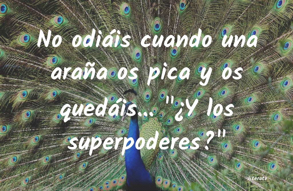 frases