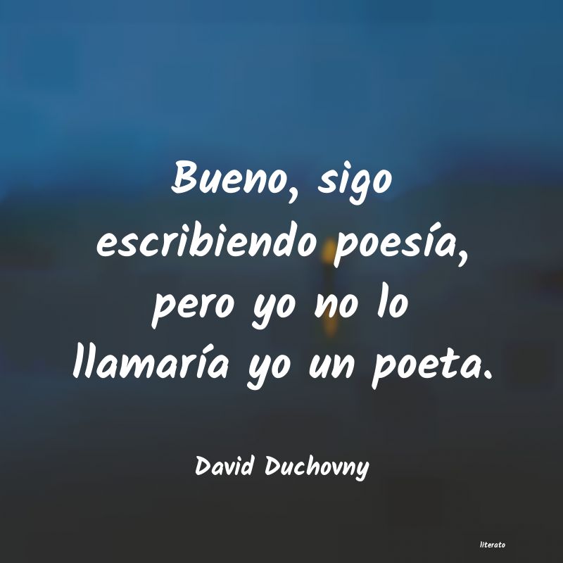 frases de David Duchovny