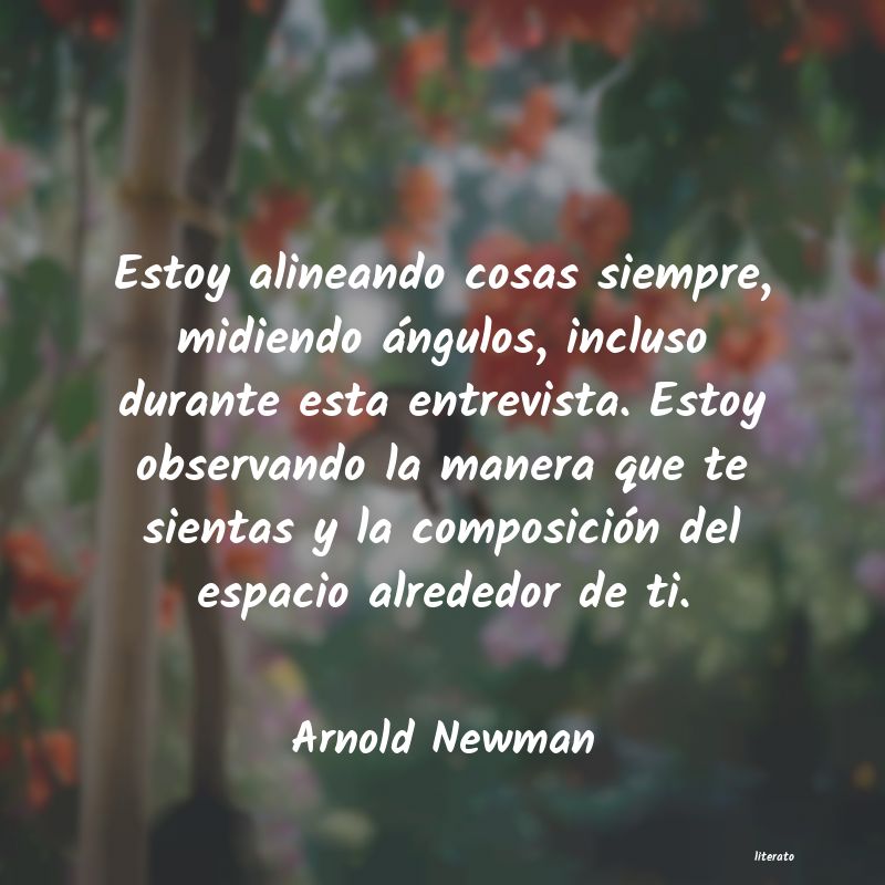 frases de Arnold Newman