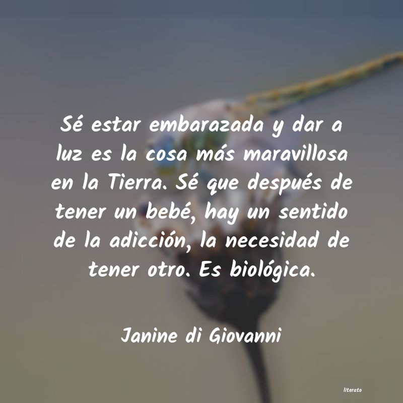 frases de Janine di Giovanni