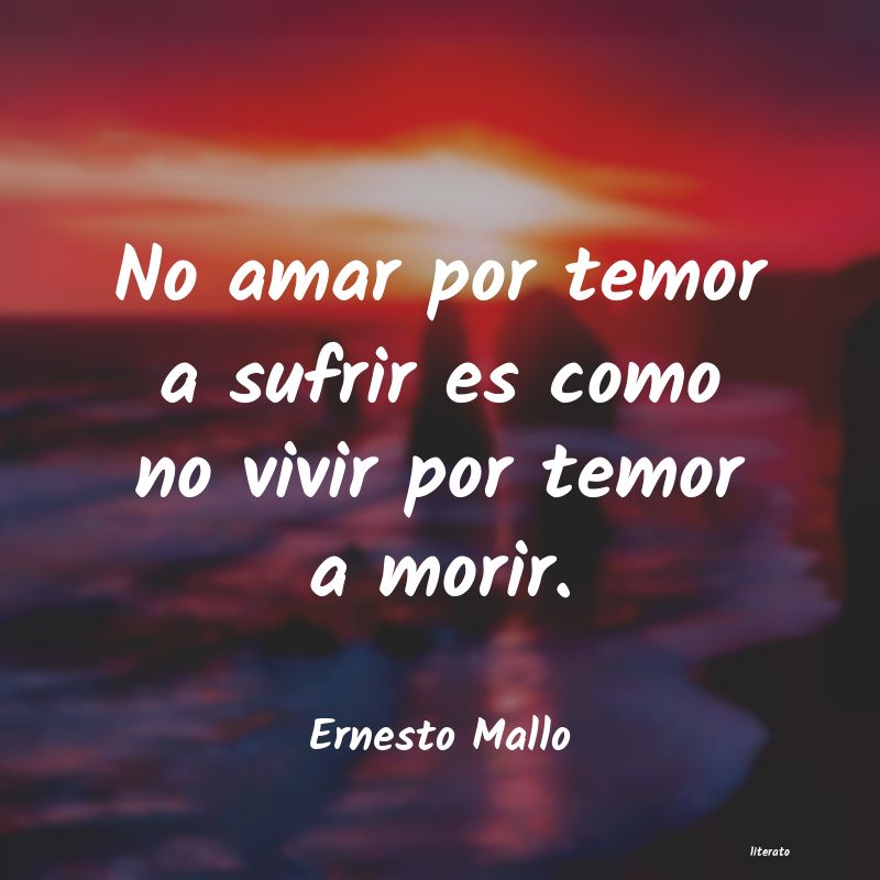 Frases de Ernesto Mallo