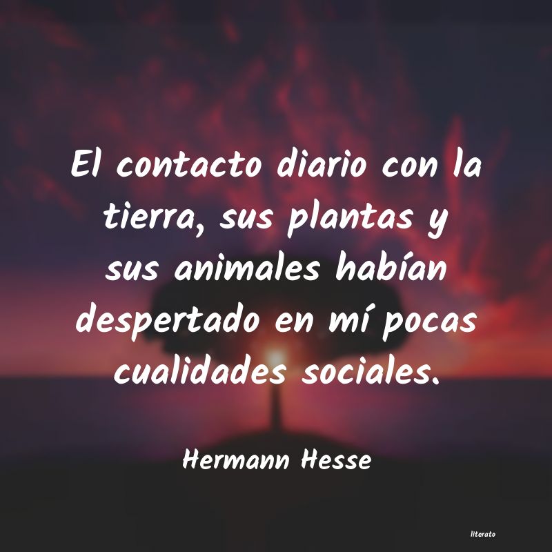 frases de Hermann Hesse