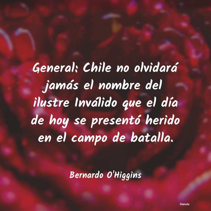 Frases de Bernardo O'Higgins