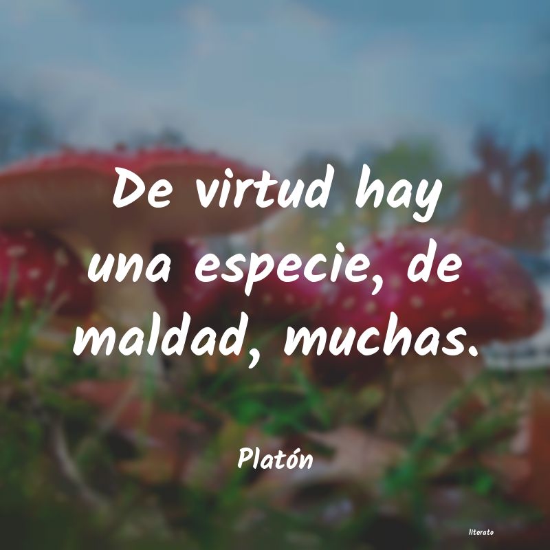 frases de Platón