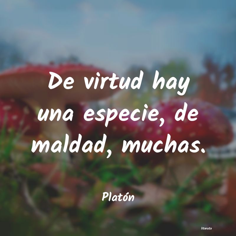 Frases de Platón