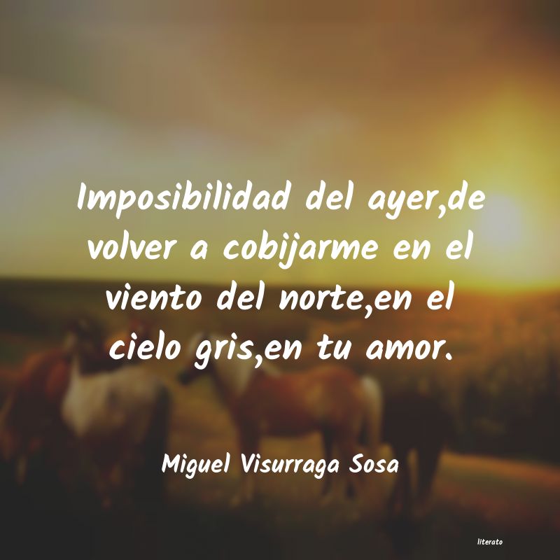 Frases de Miguel Visurraga Sosa